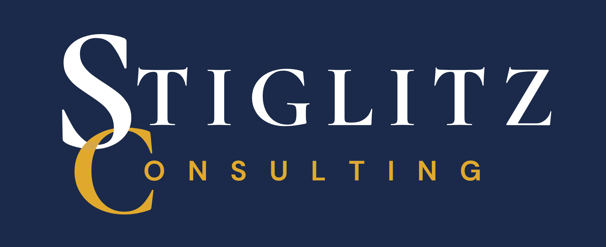 Stiglitz Consulting